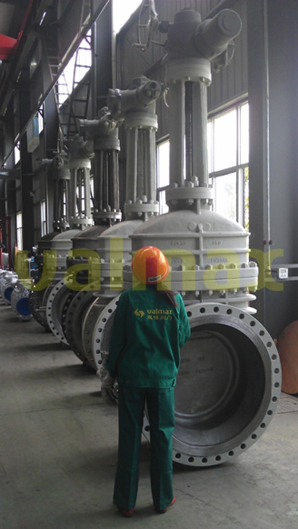 Reduced Port Gate Valve