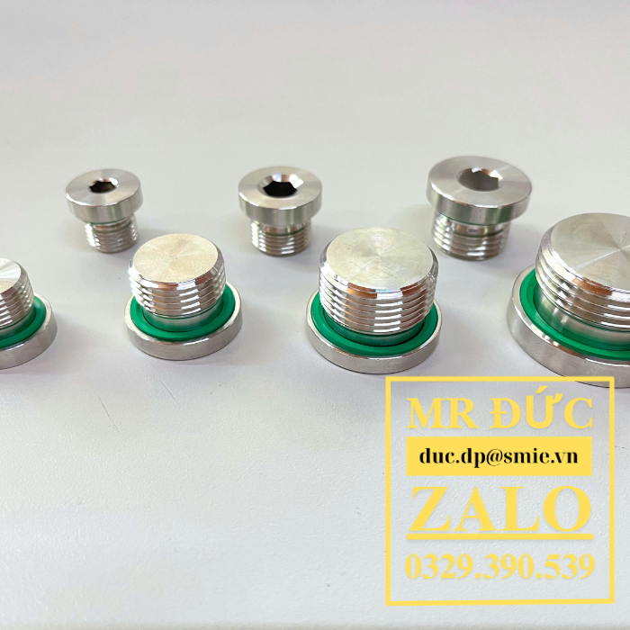 Nút Bịt BSPP inox