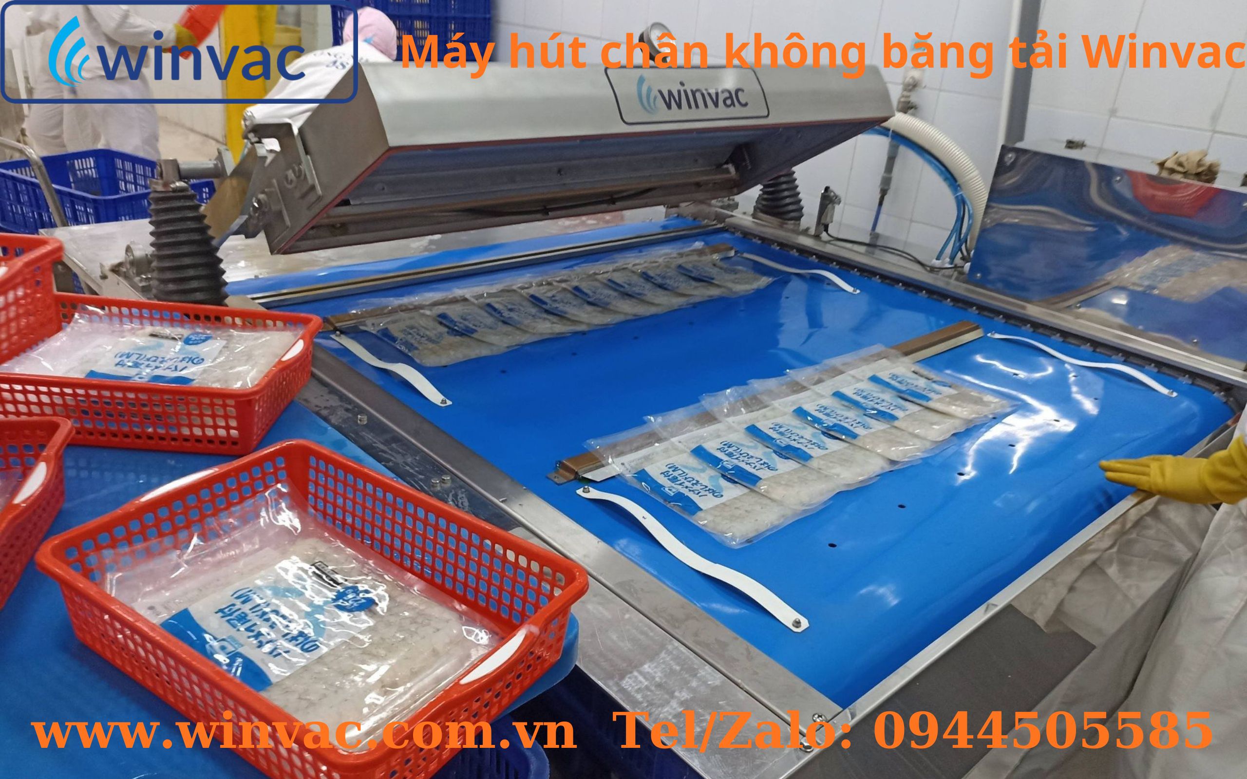 Máy hút chân không băng tải Winvac