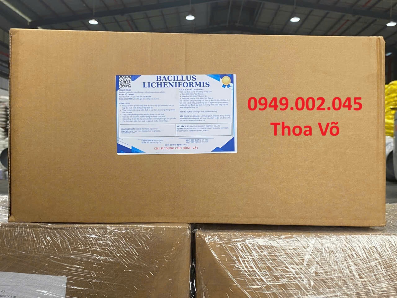 Bacillus Licheniformis – Vi Sinh Xử Lý Cặn Đáy, Dầu Mỡ & Khí Độc Cho Ao Nuôi Thủy Sản