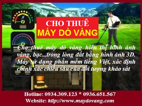 CHO THUÊ MÁY DÒ VÀNG HIỂN THỊ HÌNH ẢNH 3D