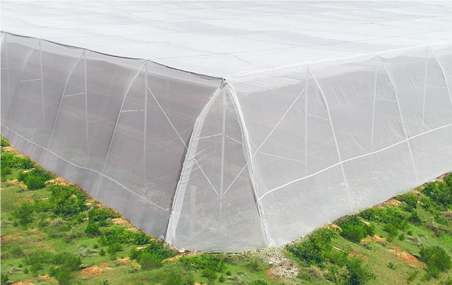 Nhà lưới nông nghiệp, nhà lưới Israel, mô hình nhà lưới nông nghiệp, chi phí làm nhà lưới nông nghiệp