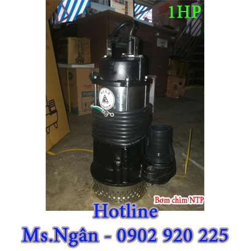 Máy bơm chìm nước thải NTP HSM250-1.75 265 1HP