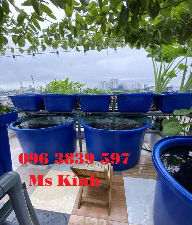 Cung cấp thùng nhựa tròn nuôi cá, đựng hóa chất, chậu nhựa trồng cây - 096 3839 597 Ms Kính