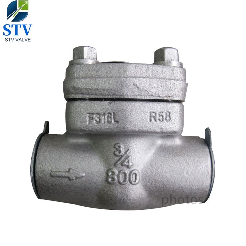 Forged Stainless Steel Swing Check Valve Class 800