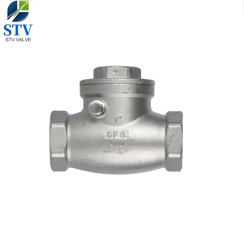 Screwed Stainless Steel Swing Check Valve