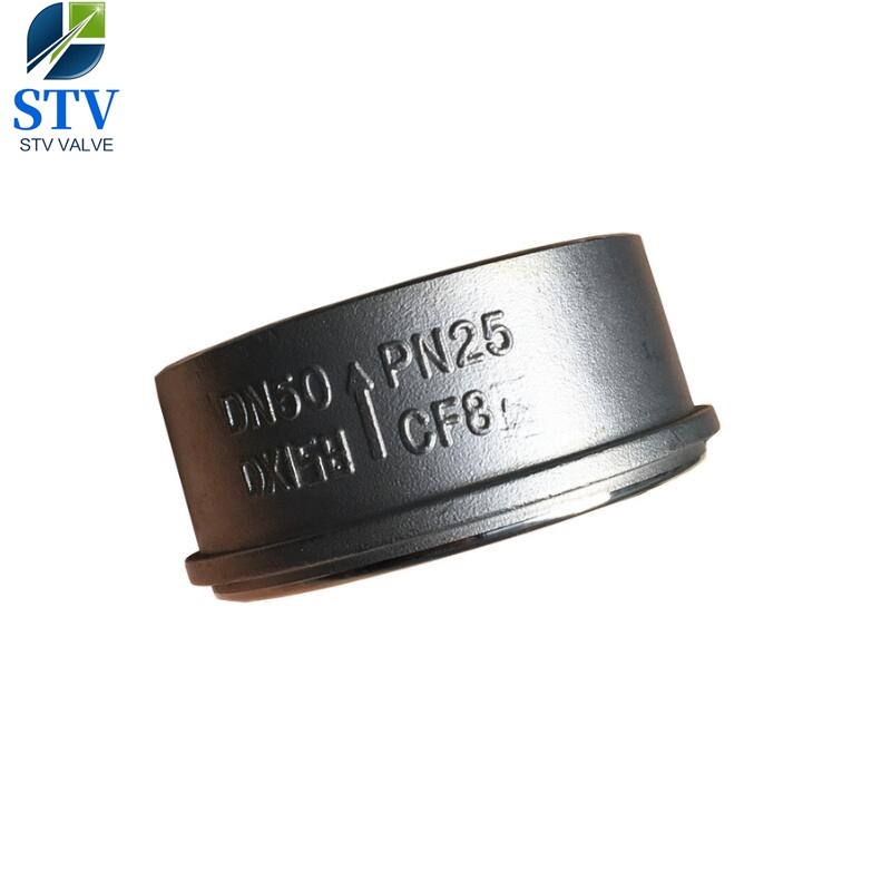 Stainless Steel Spring Disc Check Valve