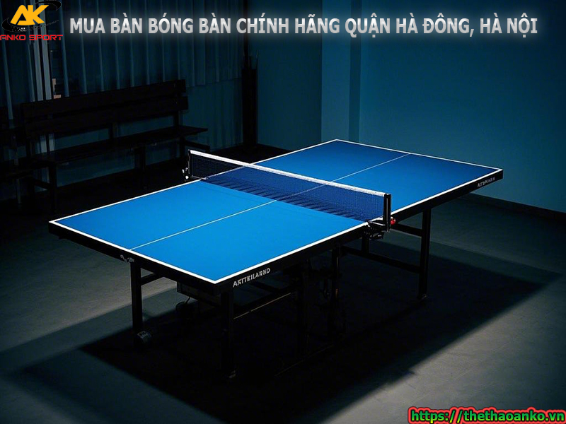 Mua bàn bóng bàn chính hãng tại cửa hàng bóng bàn gần đây