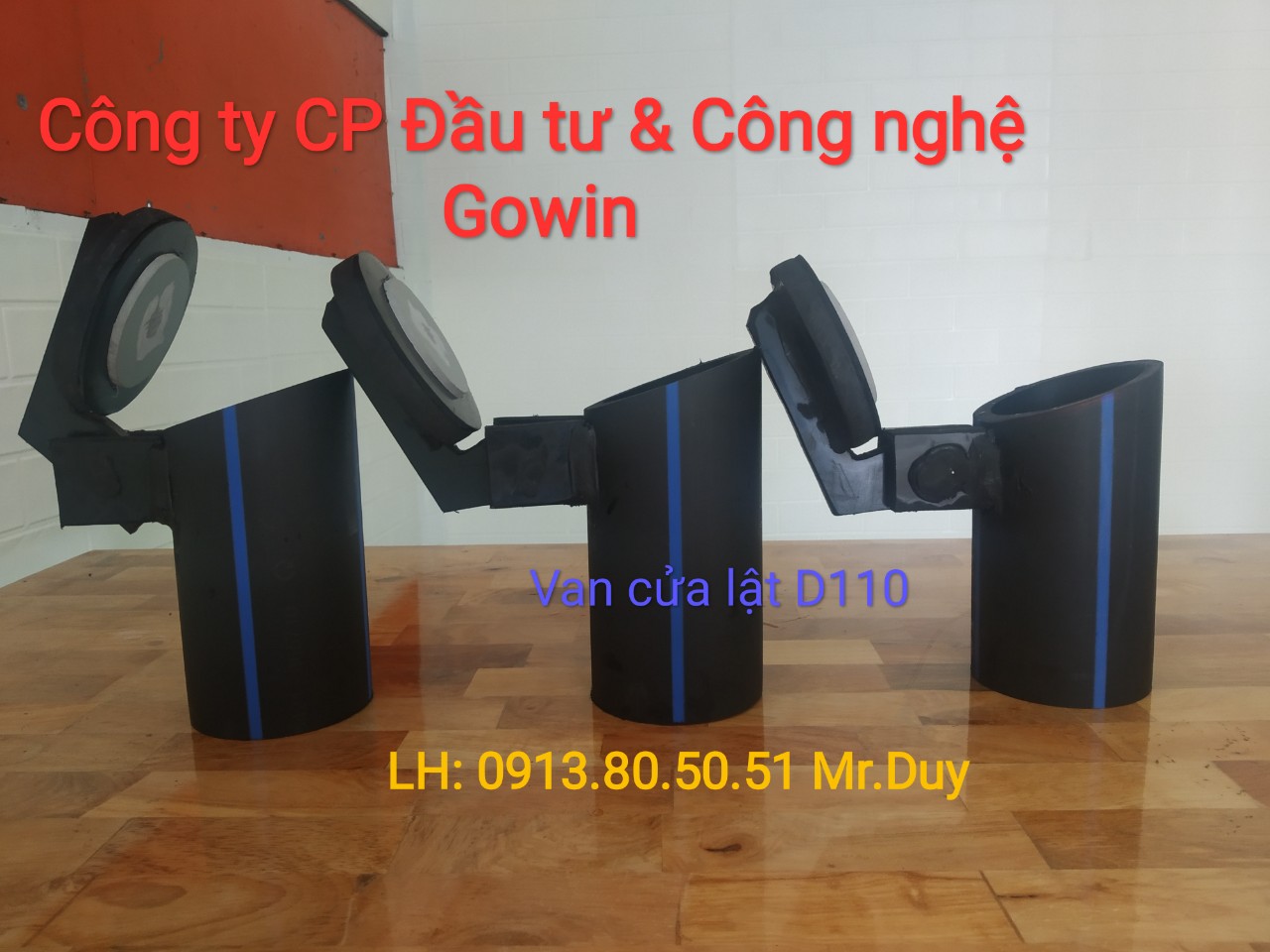 Công ty CP ĐT & CN GOWIN