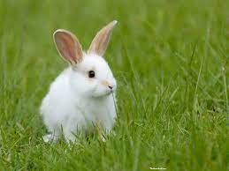 Công Ty Cổ Phần HTN