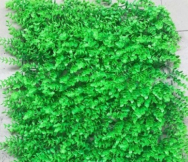 Công ty TNHH Phú An Phát