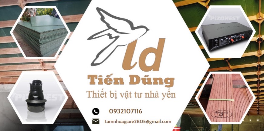 Tiến Dũng
