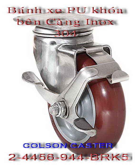 Catalog bánh xe càng inox 304