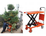 Xe nâng cây cảnh, xe nâng mặt bàn 300kg, 500kg, 350kg