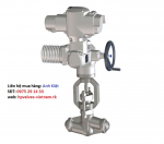 Van chống cháy ngược, van 1 chiều, check valves, HP Valves – Fig 02.3