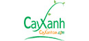 cayxanh24h.com