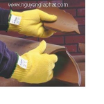 Công Ty CP Nguyên Gia Phát