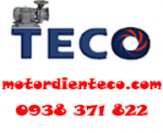 MOTOR ĐIỆN TECO