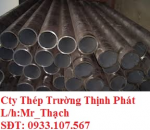 CTY TNHH MTV THÉP TRƯỜNG THỊNH PHÁT