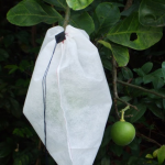 công ty TNHH sản xuất và thương mại VẢI VIỆT