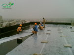 CÔNG TY TNHH THƯƠNG MẠI DỊCH VỤ NHÀ SẠCH
