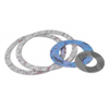 Gioăng không amiăng, gioăng kim loại(non asbestos gasket, spiral wound gasket)