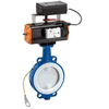 Butterfly valve