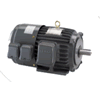 Inverter Duty Motors(Forced Ventilation) - (Động Cơ Forced Ventilation)