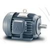 Low Voltage 3 Phase Motors (Động Cơ 3 pha TAIWAN)