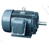 Động cơ chống nổ, Explosion Proof Motors