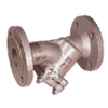 Strainers, Flanged