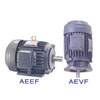 MOTOR TECO AEEF , AEVF