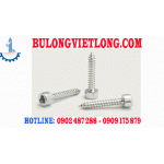 Bulong, Ốc vít inox ... 0913 073 837