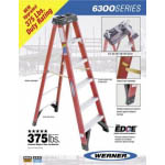 Werner Fiberglass Ladder