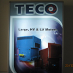 MÔ TƠ TECO  TRUNG THẾ 3.3-6.6KV