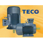 Motor Teco