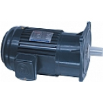 motor giảm tốc mặt bít (Dolin)