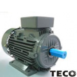 Motor Teco