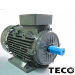 MOTOR TECO