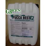 NK&PP Yucca Nguyên liệu (yucca bột, nước) chiết xuất từ Yucca Schidigera dùng Sản xuất thuốc thủy sản, Khử khí độc trong Nuôi trồng thủy sản