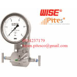 Đồng hồ áo suất WISE P621 to P625