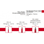 Cáp chống cháy Cu/MT/XLPE/PVC