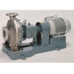 EBARA - Process Pump (GENERAL INDUSTRY)