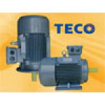 Motor TECO