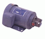 MOTOR BƠM TRỰC TIẾP