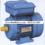 Motor Teco 1 phase