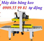 Máy dán băng keo thùng carton tự động