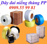 Dây đai nhựa PP niềng thùng [ThanhBinh]