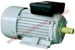 Động cơ motor 1 pha / motor dân dụng 220 V