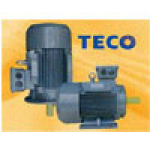 Motor Teco